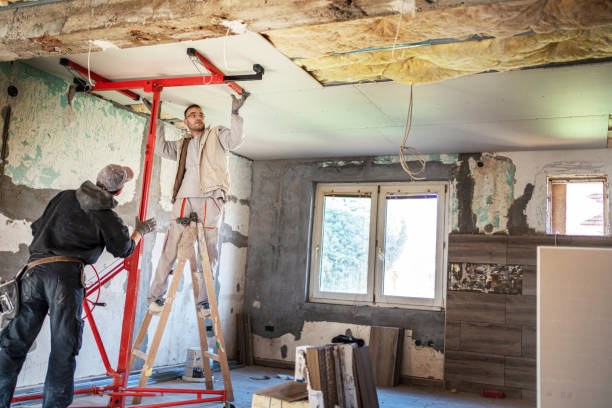 Best Professional Insulation Contractor  in Maumelle, AR