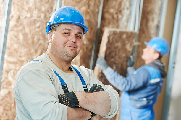 Best Cellulose Insulation  in Maumelle, AR